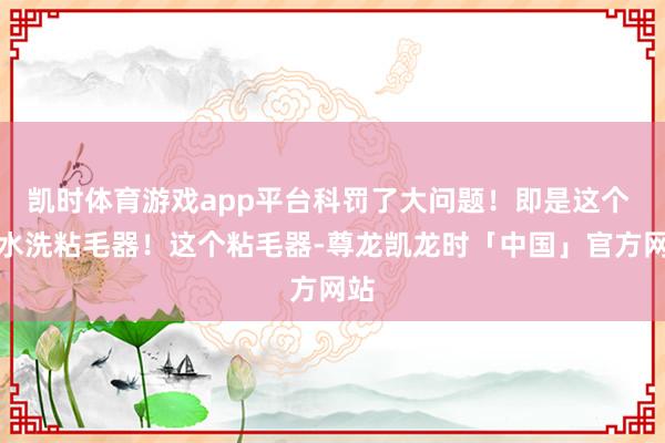 凯时体育游戏app平台科罚了大问题！即是这个 可水洗粘毛器！这个粘毛器-尊龙凯龙时「中国」官方网站