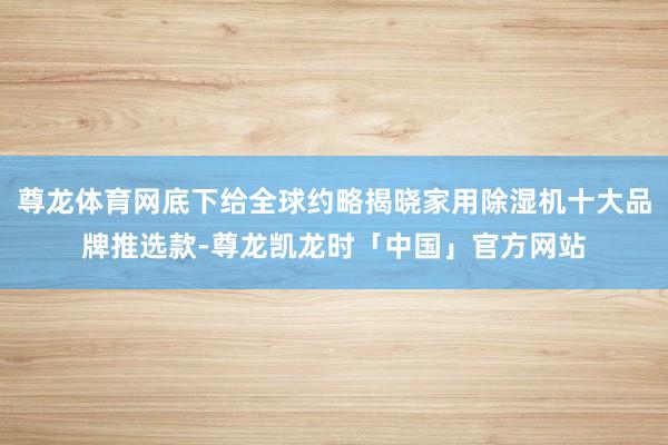 尊龙体育网底下给全球约略揭晓家用除湿机十大品牌推选款-尊龙凯龙时「中国」官方网站