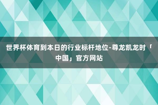 世界杯体育到本日的行业标杆地位-尊龙凯龙时「中国」官方网站