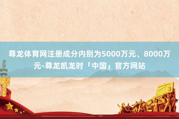 尊龙体育网注册成分内别为5000万元、8000万元-尊龙凯龙时「中国」官方网站