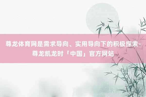 尊龙体育网是需求导向、实用导向下的积极探索-尊龙凯龙时「中国」官方网站