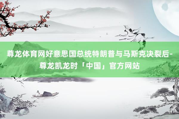 尊龙体育网好意思国总统特朗普与马斯克决裂后-尊龙凯龙时「中国」官方网站