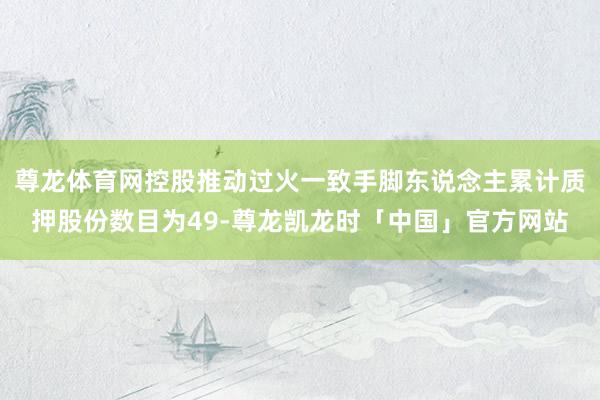尊龙体育网控股推动过火一致手脚东说念主累计质押股份数目为49-尊龙凯龙时「中国」官方网站