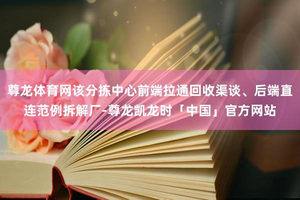 尊龙体育网该分拣中心前端拉通回收渠谈、后端直连范例拆解厂-尊龙凯龙时「中国」官方网站