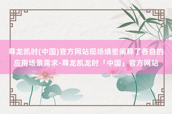 尊龙凯时(中国)官方网站现场缜密阐释了各自的应用场景需求-尊龙凯龙时「中国」官方网站