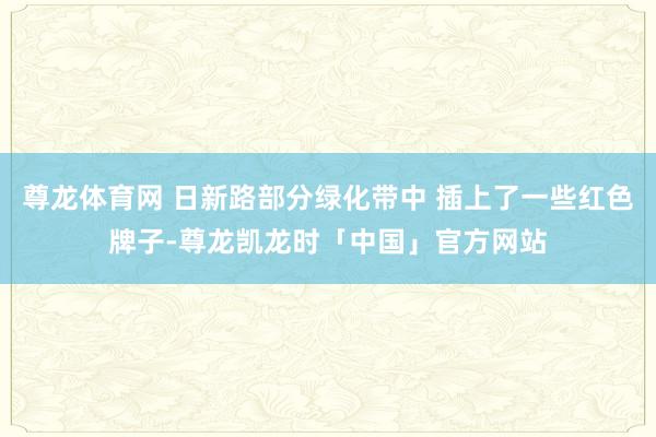 尊龙体育网 日新路部分绿化带中 插上了一些红色牌子-尊龙凯龙时「中国」官方网站