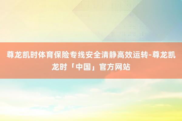 尊龙凯时体育保险专线安全清静高效运转-尊龙凯龙时「中国」官方网站