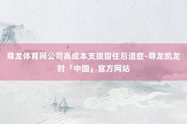 尊龙体育网公司高成本支拨留住后遗症-尊龙凯龙时「中国」官方网站