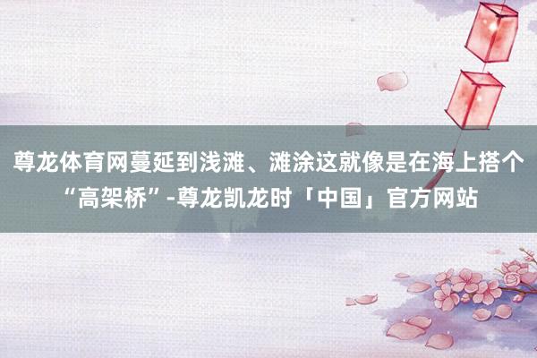 尊龙体育网蔓延到浅滩、滩涂这就像是在海上搭个“高架桥”-尊龙凯龙时「中国」官方网站